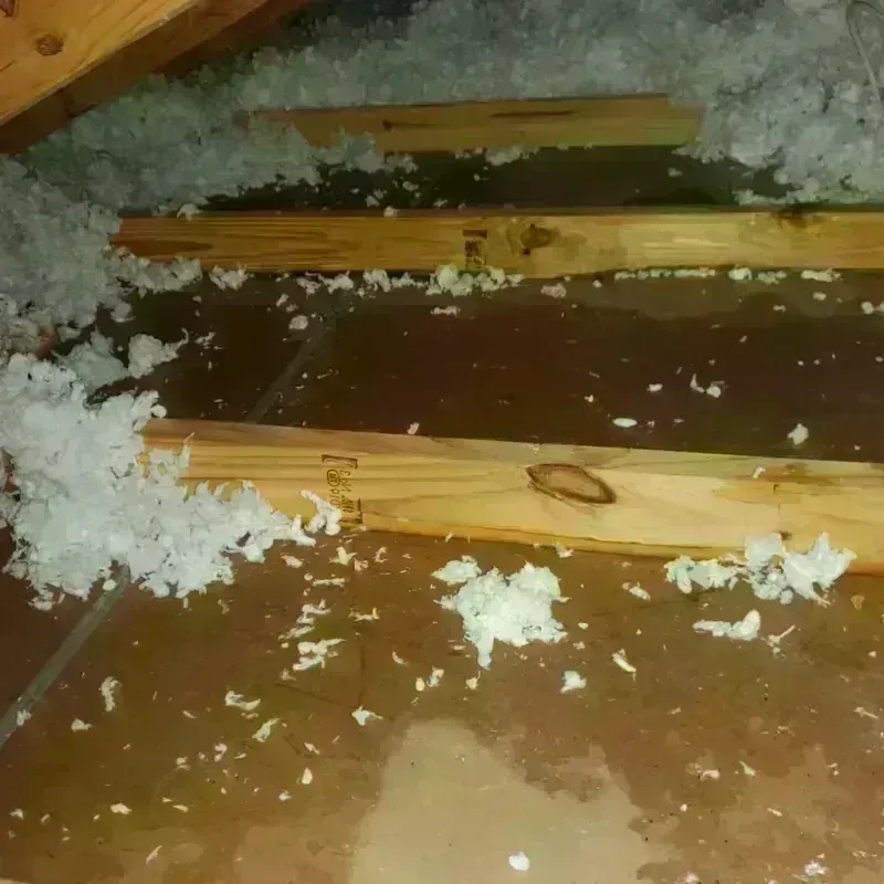 Attic Water Damage in Saratoga Springs, NY