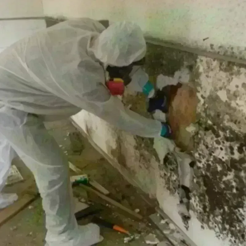 Mold Remediation and Removal in Saratoga Springs, NY